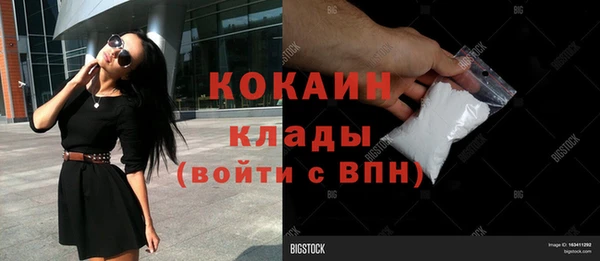 прущие грибы Киренск