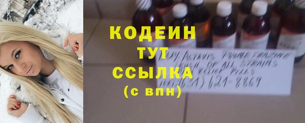 прущие грибы Карталы