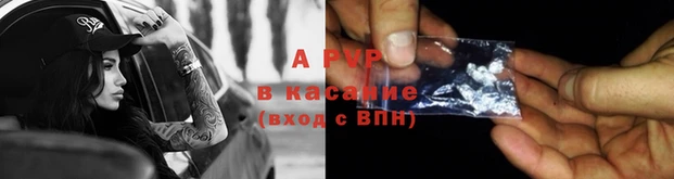 прущие грибы Карталы