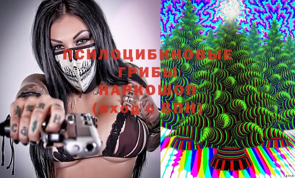 прущие грибы Карталы